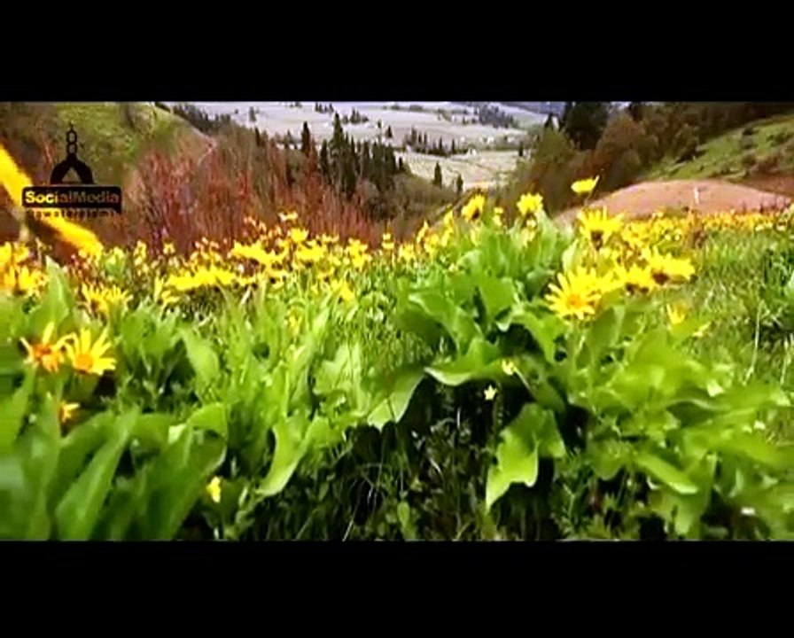 Dawateislami _ 4 Hazaar Saal Pehle inteqal Kiya Hua Shakhs Zinda Hogya _ Maulana Ilyas Qadri