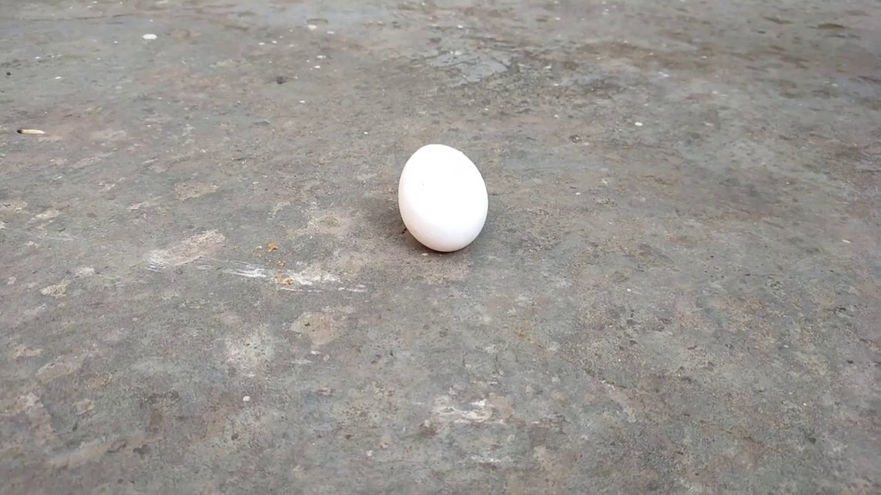 Crush with Hammer   SLOW Motion