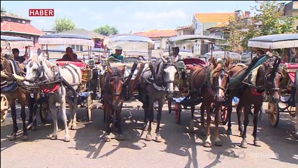 Meclis'te ruam hastalığı raporu