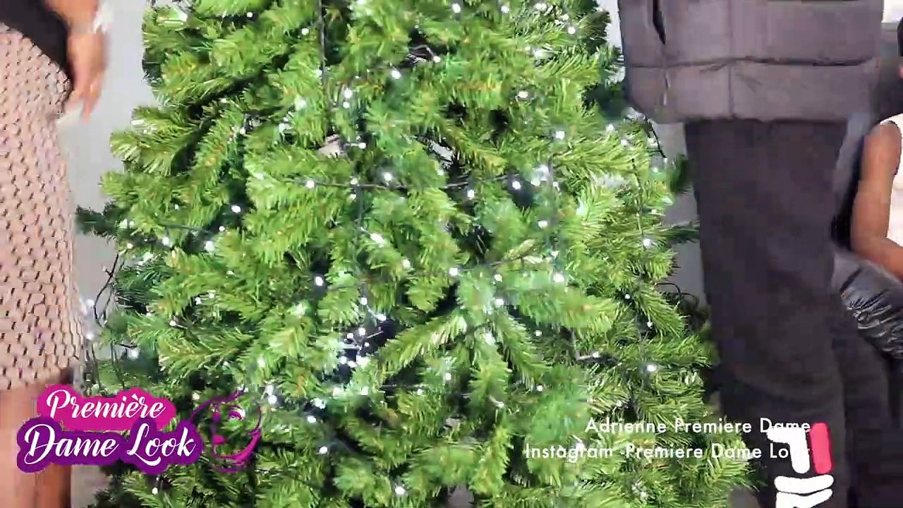TELE REALITÉ ADRIENNE PREMIERE DAME ET SES ENFANTS - DECORATION SAPIN NOEL - FAIL NE RIGOLE PAS 