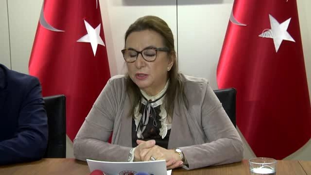 Ticaret Bakanı Pekcan - Brexit süreci