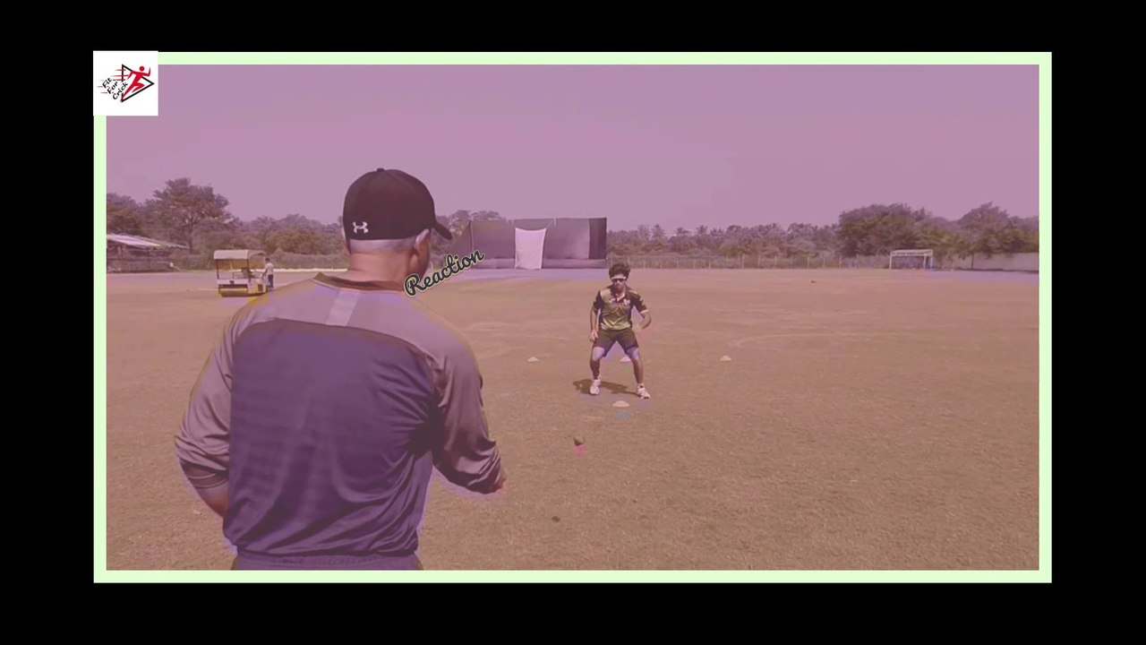 REACTION DRILLS FOR CRICKETERS video Dailymotion