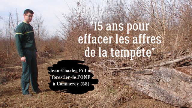 Agent de l'ONF, Jean-Charles Fillion raconte le travail de l'ONF après la tempête de 1999