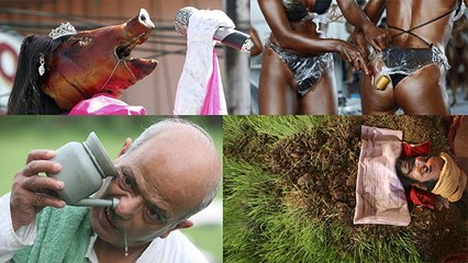 Best Funny and weird Picture Images 2019 on Social Media | Boldsky