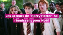 Magicmaman fête noël avec harry potter à poudlard