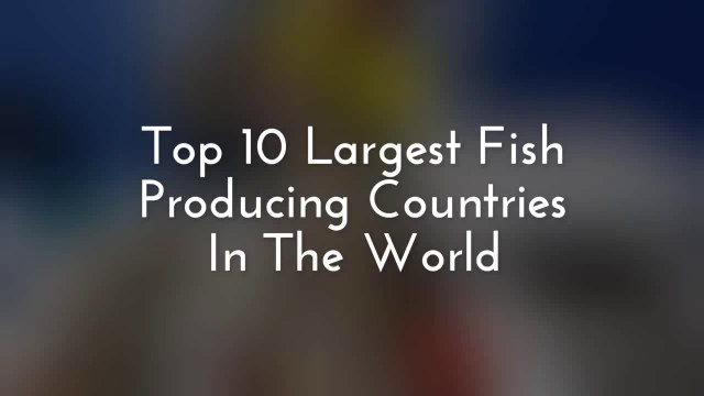 Top 10 Largest Fish Producing Countries In The World