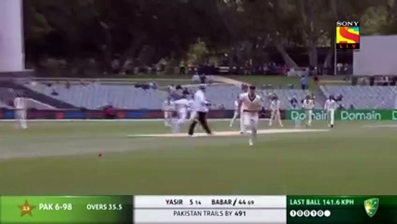 Cricket