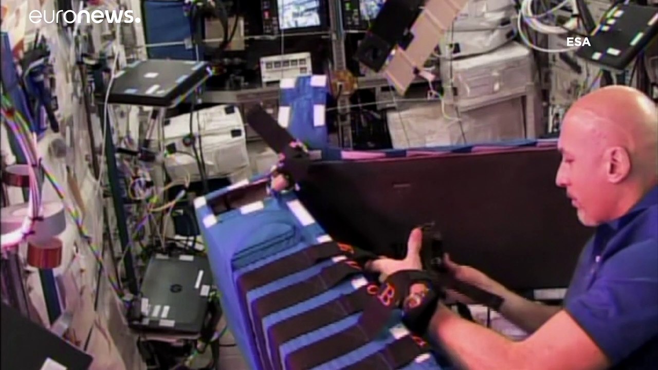 Space chronicles: rädertierchen im all