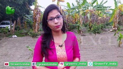 प्राकृतिक खेती करने वाले Kisan अभय सिंह रोड कैसे कमा रहे है लागत कम और Lakho का मुनाफा