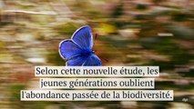 Les jeunes ne peuvent pas se souvenir de ce qu’était la vie sauvage avant… et c’est un vrai problème