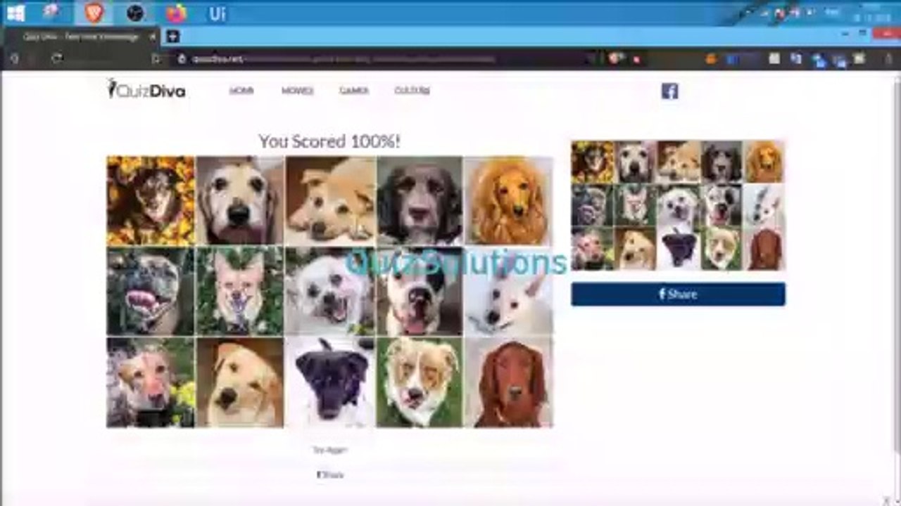 Quiz Diva Can You Pass This Dog Breeds Quiz Answers 25 Questions Score 100% Video QuizSolutions