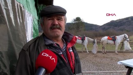 Bolu 8 at ruam şüphesiyle karantinada-4