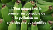 L'État admet être le premier responsable de la pollution au chlordécone aux Antilles