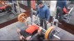 Inspirational disabled powerlifter becomes national weightlifting champion in northern India