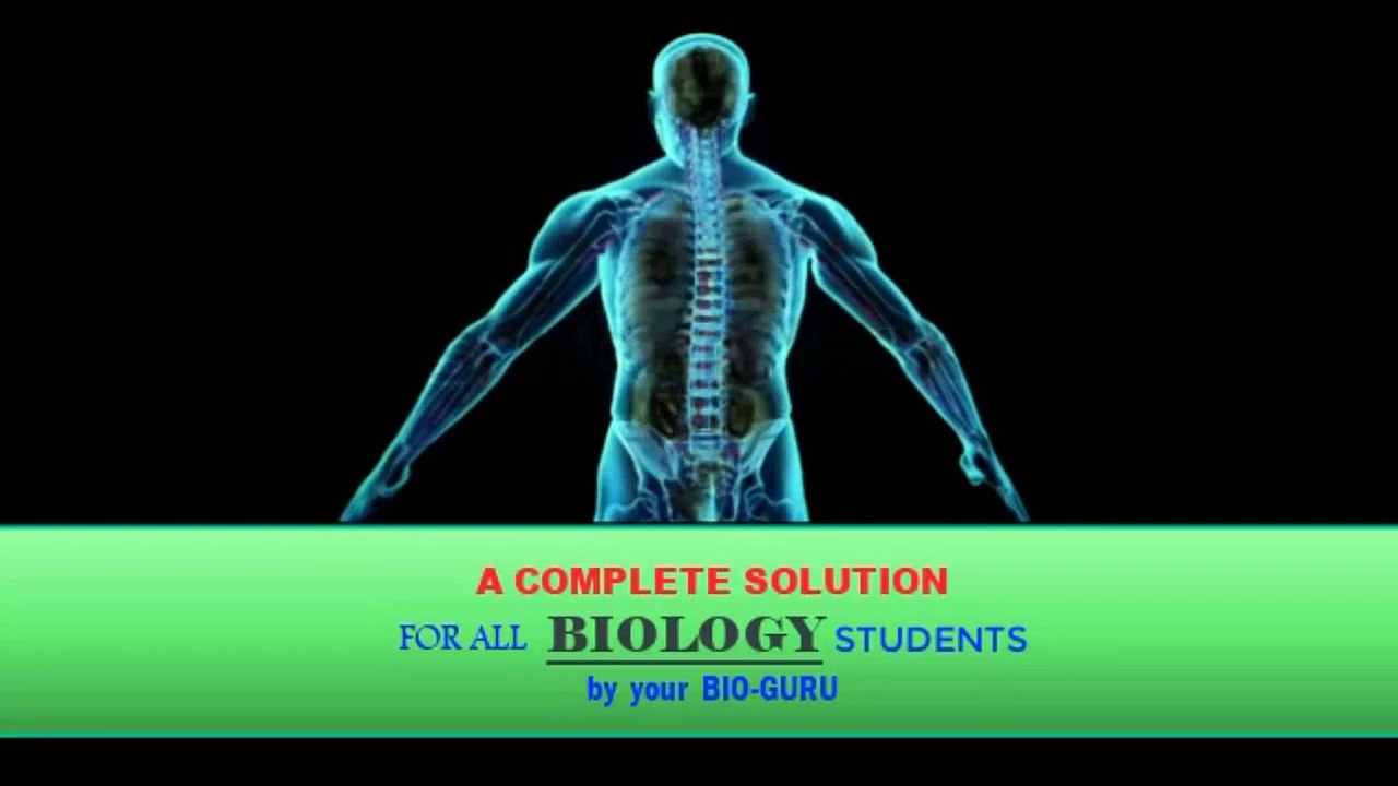 CBSE releases date sheet for Class 10, Class 12 exams 2020