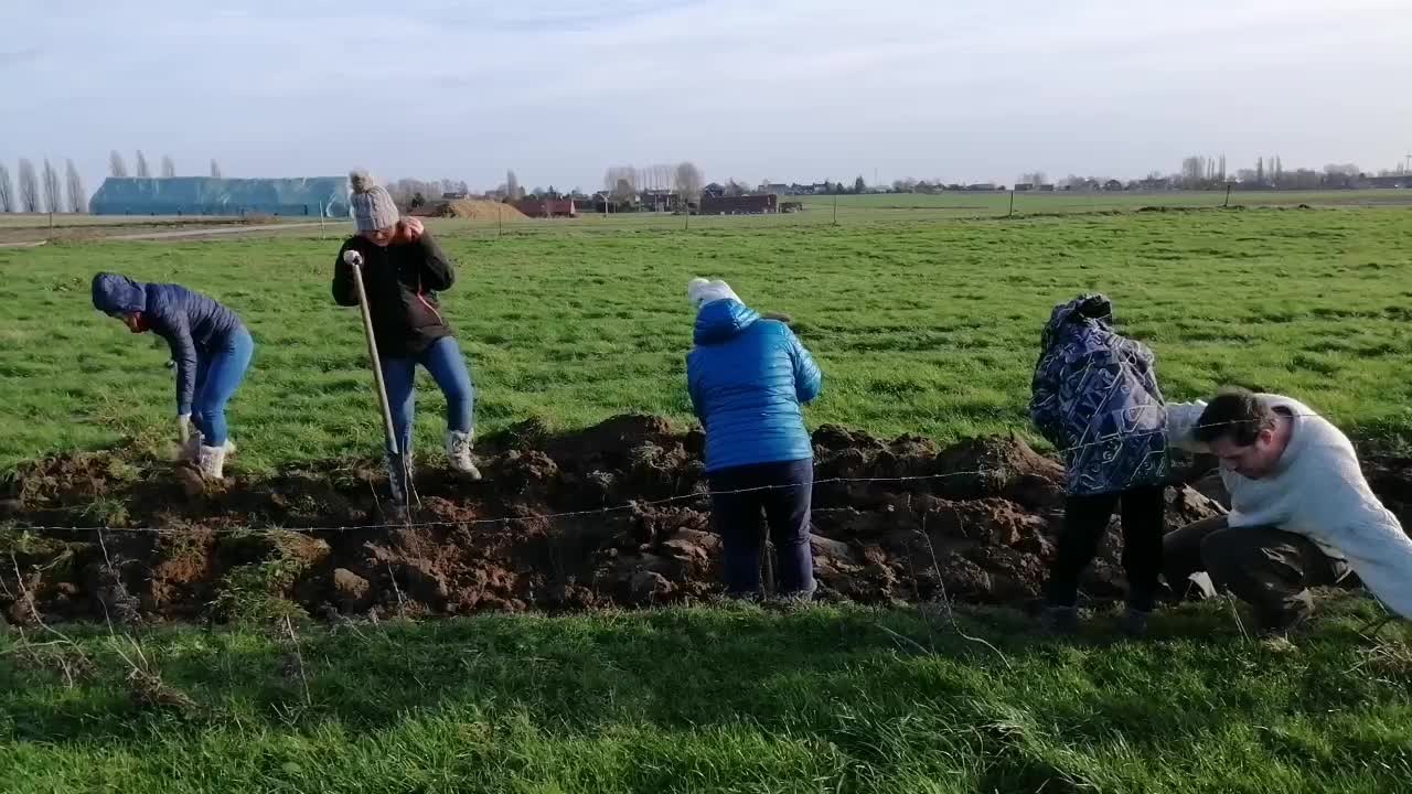 Dottignies: 800 arbres plantés à proximité de la ferme Henno