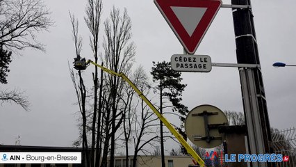 Un arbre menace de tomber dans la cour du lycée Saint Pierre à Bourg en Bresse