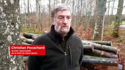 La tempête était aussi dans la tête des forestiers