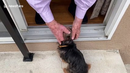 'I ain’t takin’ care of no flea bags!' US Grandpa's heartfelt reunion with dog