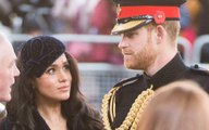 Almost 4,000 People in Sussex Have Signed a Petition to Strip Prince Harry and Meghan Markle of Their Royal Titles
