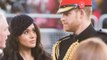 Almost 4,000 People in Sussex Have Signed a Petition to Strip Prince Harry and Meghan Markle of Their Royal Titles