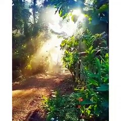 Allah Hoo Allah Hoo - Ay Noor e Sahar Child Voice