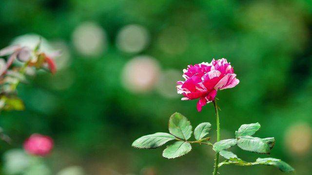 Remove Pigmentation Melasma&DarkSpots of face Permanently(Part 2)Tips for healthy glowing clear skin