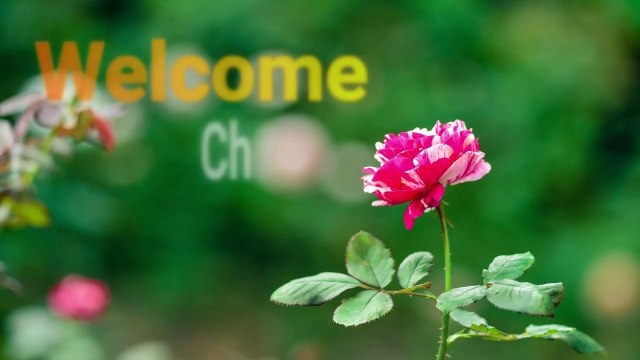 How to remove Melasma&Blemishes Dark spots Permanently(Part 1)Best supplements for all face spots