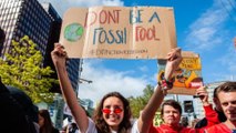 Dutch activists win legal battle over climate change