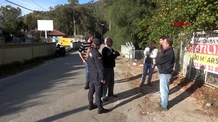 Muğla marmaris'te zehirlenen üç köpekten ikisi öldü