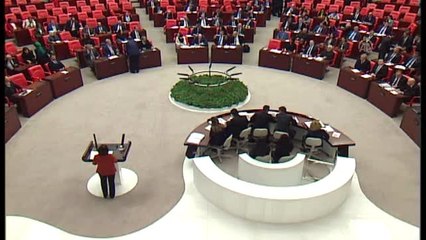 2020 Yılı Bütçesi görüşmeleri - HDP Grup Başkanvekili Kurtulan