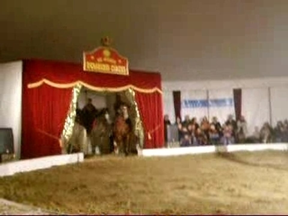 Le Grand Delirium Circus