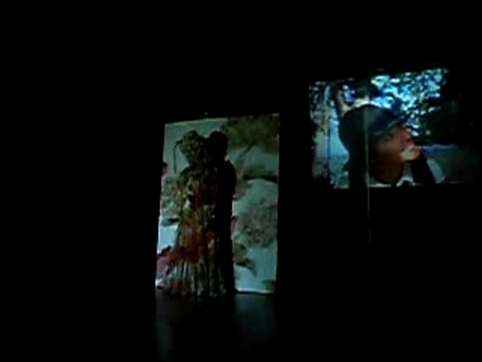 La fausse suivante : essai/extrait