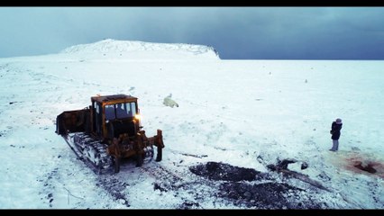 Keeping Polar Bears From Coming Close
