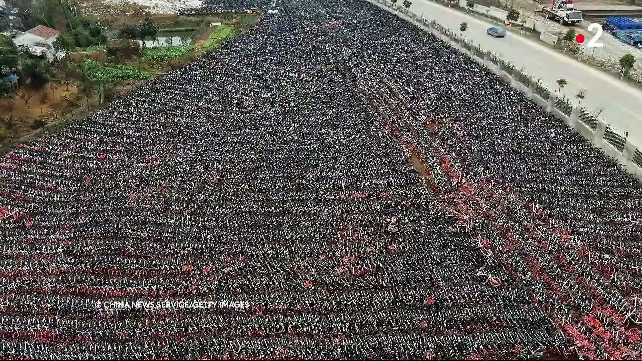 Fête tokyoïte, précarité à Los Angeles, cliché animalier... Les images insolites qui ont marqué l'année