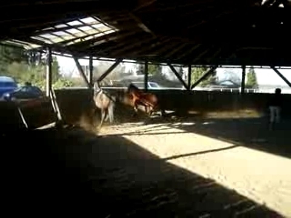 Und wo bleibt mein Geld?