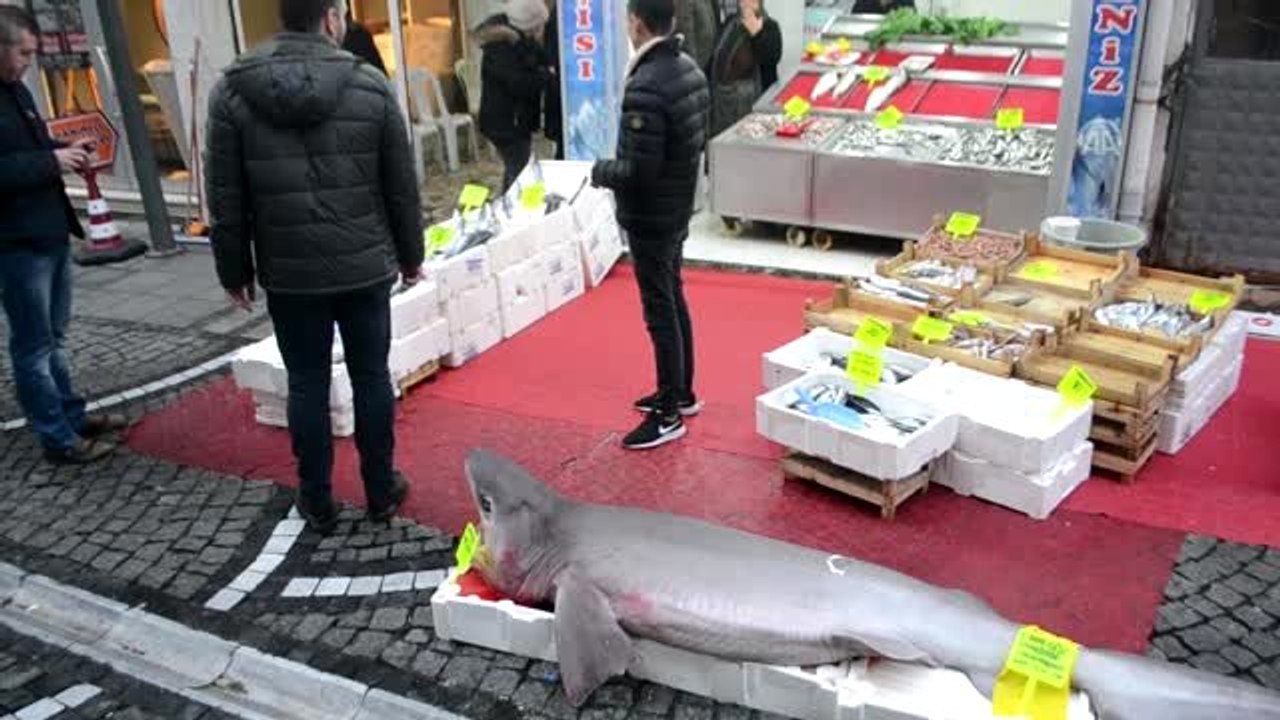 Balıkçı tezgahında köpek balığı görenleri şaşırttı