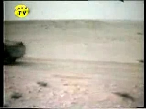 Sahara libre houari boumediene polisario rasd western