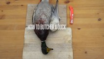 How to Butcher a Duck