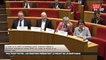 Projet de loi bioéthique : les ministres auditionnés - Les matins du Sénat (19/12/2019)