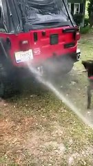 Este perro se vuelve loco cada vez que su dueño intenta ‘lavar’ su coche