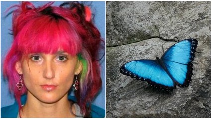 La mujer que fue condenada a 6 meses de cárcel por robar una mariposa