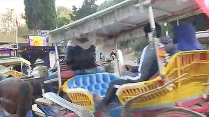 'Horses are dying': activists demand end to Istanbul island rides