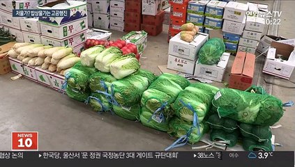 배추·무 가격 '고공행진'…심상치 않은 채솟값