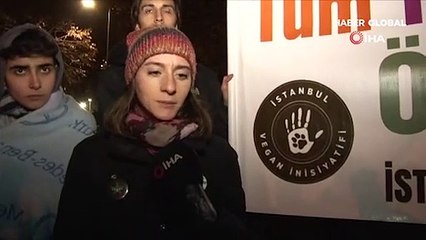 İBB önünde "fayton" bekleyişi! Hayvanseverler geri adım atmıyor