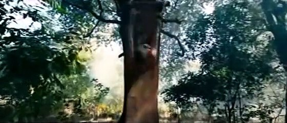 'COMMANDO' (2013) ~ Official Movie "Theatrical" Trailer - VIdyut Jamwal & Pooja Chopra [HQ]