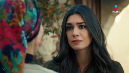 Amor y odio Cap 175 Completo