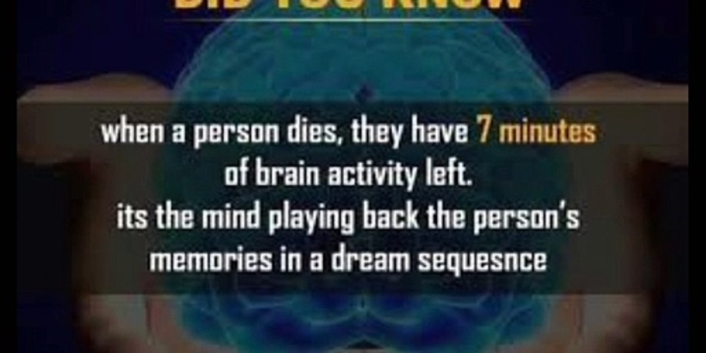 Amazing facts about girls and humens/100%entertaining