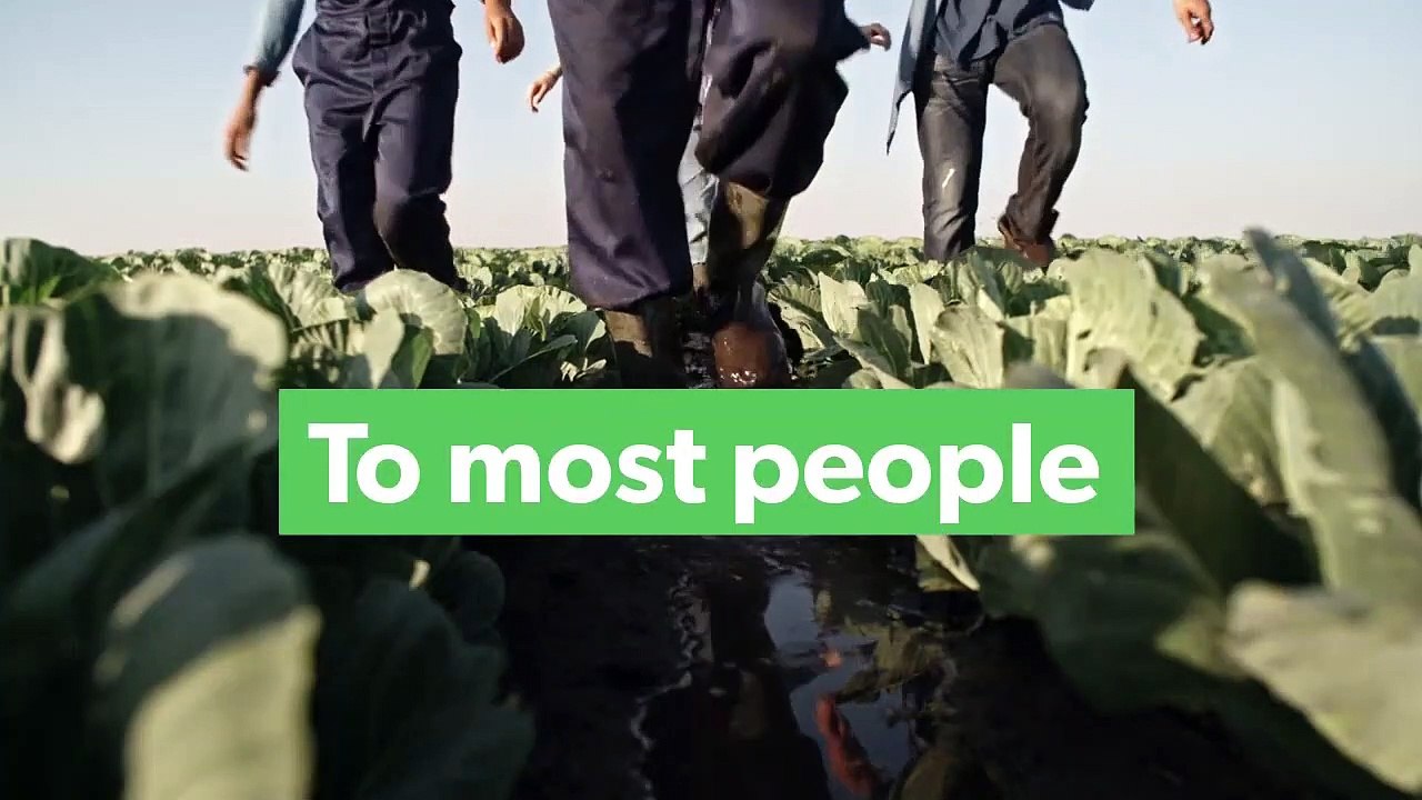 Thank A Farmer _ Jam Jam Group