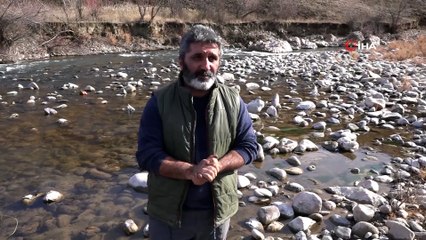 Pülümür Çayı'na verdikleri elektrikle balıkları telef ettiler